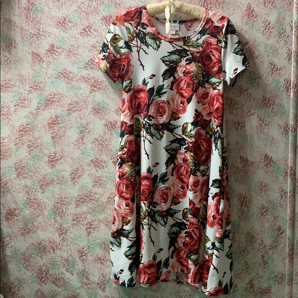 Lularoe Jessie dress